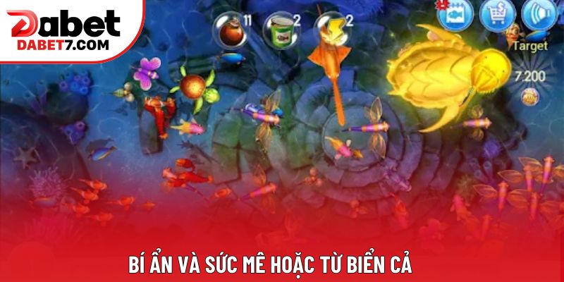 Bí ẩn và sức mê hoặc từ biển cả