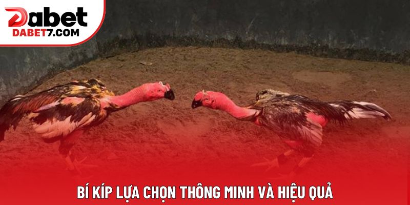 Bí kíp lựa chọn thông minh và hiệu quả Bí kíp lựa chọn thông minh và hiệu quả