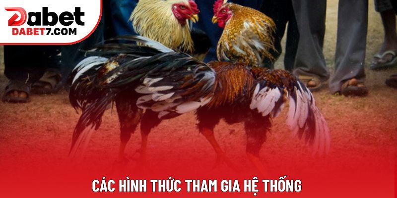 Các hình thức tham gia hệ thống Các hình thức tham gia hệ thống