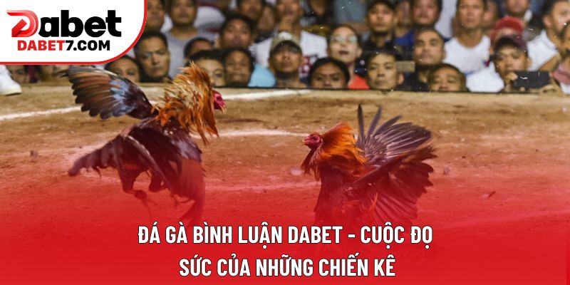 Đá Gà Bình Luận DABET - Cuộc Đọ Sức Của Những Chiến Kê