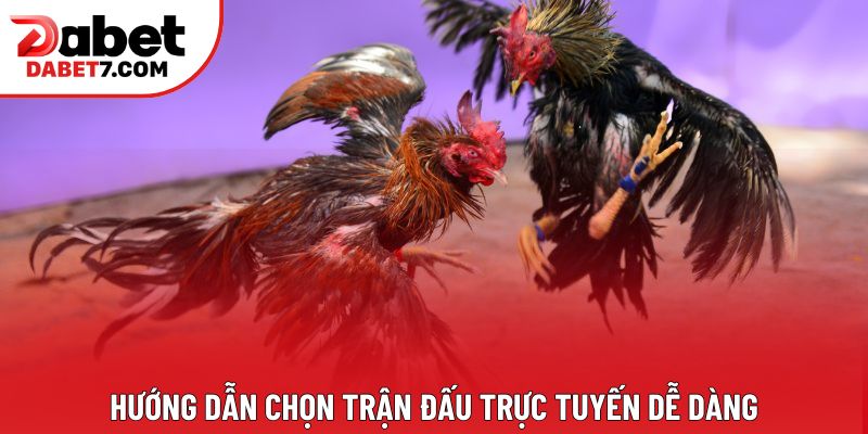 Hướng dẫn chọn trận đấu trực tuyến dễ dàng