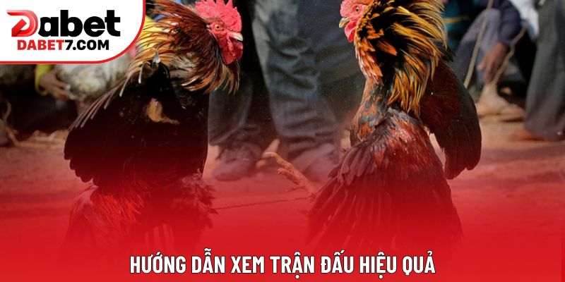 Hướng dẫn xem trận đấu hiệu quả