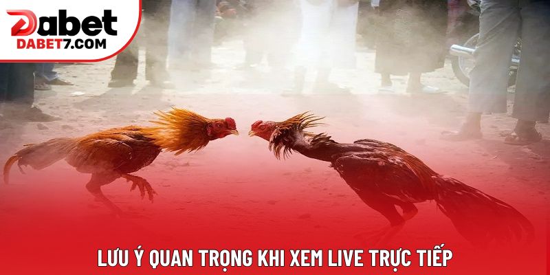 Lưu ý quan trọng khi xem live trực tiếp