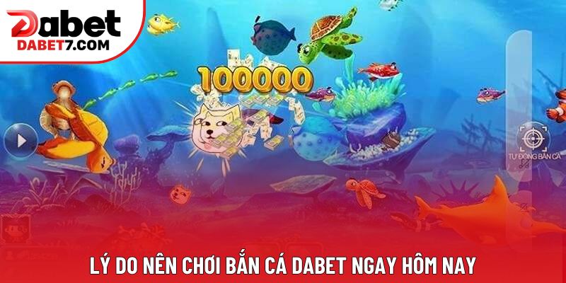 Lý do nên chơi bắn cá DABET ngay hôm nay Lý do nên chơi bắn cá DABET ngay hôm nay