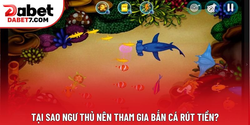 Tại sao ngư thủ nên tham gia bắn cá rút tiền?
