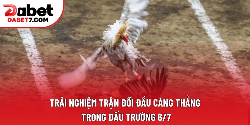 Trải nghiệm trận đối đầu căng thẳng trong đấu trường 6/7