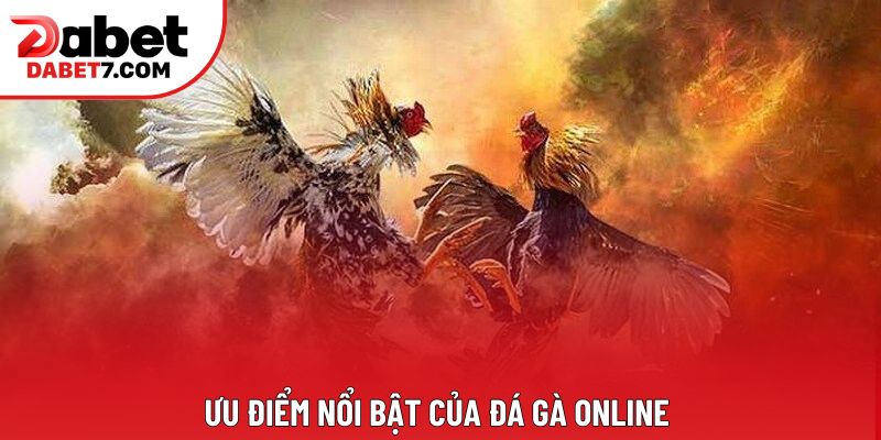 Ưu điểm nổi bật của đá gà online Ưu điểm nổi bật của đá gà online